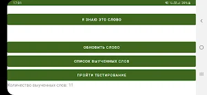 Glance Irregular Verbs Pro Screenshot 0