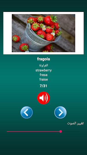 تعلم اللغة الإيطالية Screenshot 3