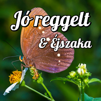 Hungarian Morning & Night