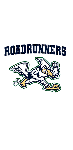 Roadrunner Baseball Academy Screenshot 0