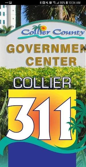 Collier 311 Screenshot 0