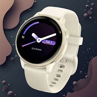 Garmin Vivoactive 6 Guide