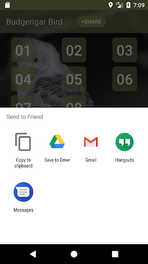 Budgerigar Bird Sounds Screenshot 3