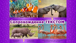 Животные для детей и малышей 2! Обучающие карточки Screenshot 2
