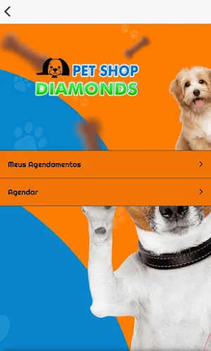 PET SHOP DIAMONDS Screenshot 0