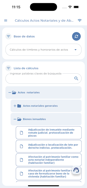Cálculos Tirant Screenshot 2