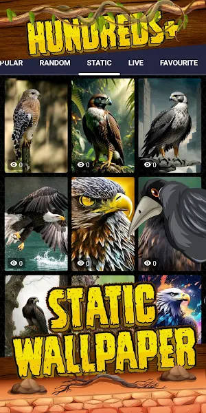 bird of prey wallpaper Screenshot 3