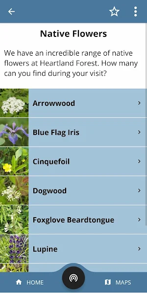 Heartland Forest Trails Screenshot 1