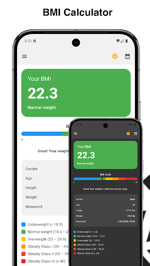Bmi Calculator Screenshot 0