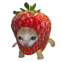 Stickers Cats - WASticker