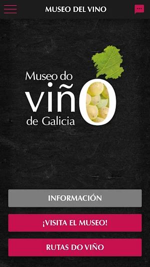 Museo del Vino de Galicia Screenshot 0