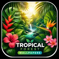 Tropical Forest Wallpaper HD