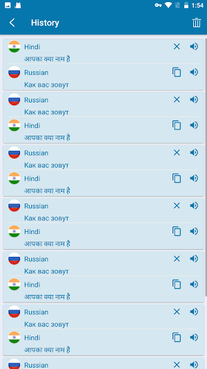 Hindi Russian Translation screenshot 5
