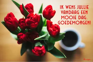Goedemorgen Middag & Avond Screenshot 0