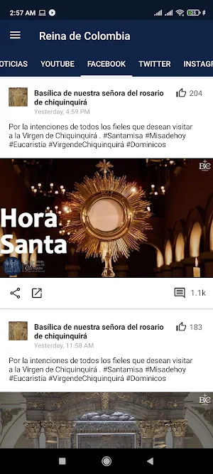Reina de Colombia Screenshot 3