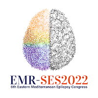 EMRSES 2022