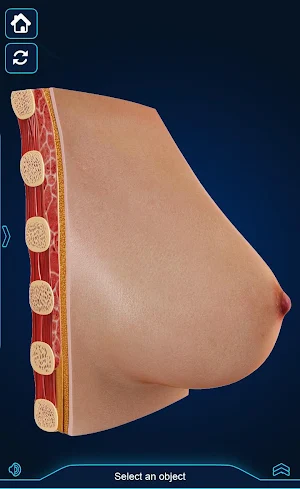 Breast Anatomy Pro. Screenshot 2