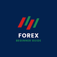 Forex Beginners Guide