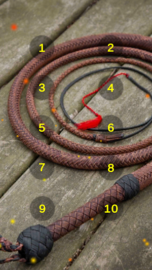 Whip Crack Sounds Soundboard Screenshot 0