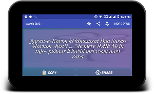 Islamic Quotes  Collection - Islamic Aqwal Screenshot 3