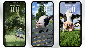 Countryside Background Screenshot 1