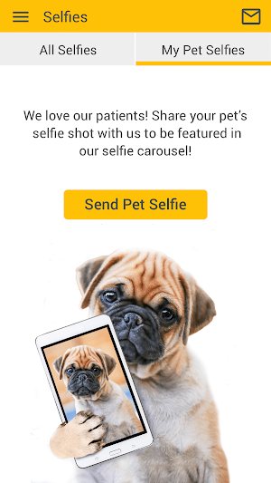 Ideal Vet Screenshot 3