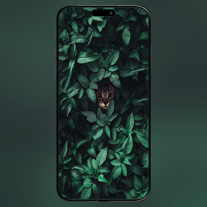 Nature Wallpapers 4K Screenshot 2