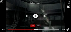 ZoZo Player - URL Video Player Screenshot 3