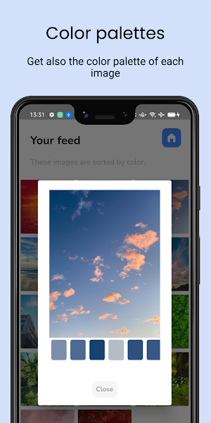 Hue Feed Preview Screenshot 2