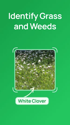 Grass Identifier: Lawn ID Screenshot 0