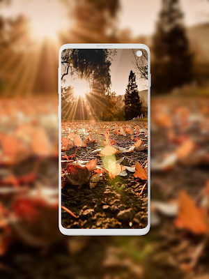 Autumn Wallpaper Screenshot 0