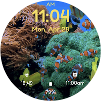 Coral Reef - watch face