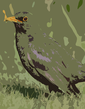 Blackbird (animal) sounds ~ Sboard.pro Screenshot 0