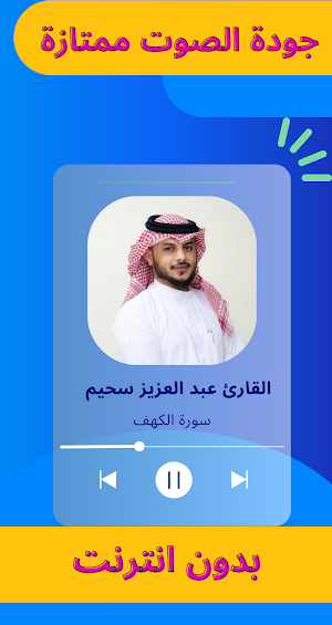 القرآن بدون نت - هيثم الدخين Screenshot 2