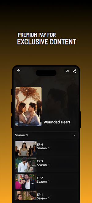 Picasso: Live TV, Movie & Show Screenshot 3