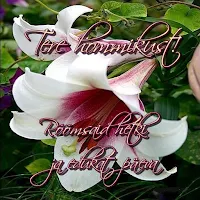 Tere hommikust!