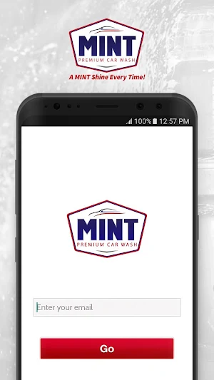 Mint Car Wash Screenshot 3