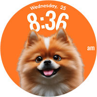 Oogly Dog