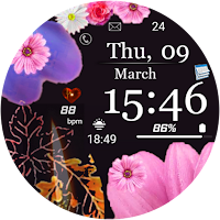 FSW225 WATCHFACE