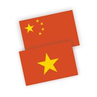 Vietnamese Chinese Translator