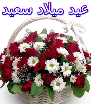 عيد ميلاد سعيد Screenshot 2