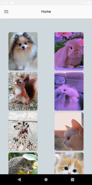 Cute Animal Wallpapers Screenshot 1