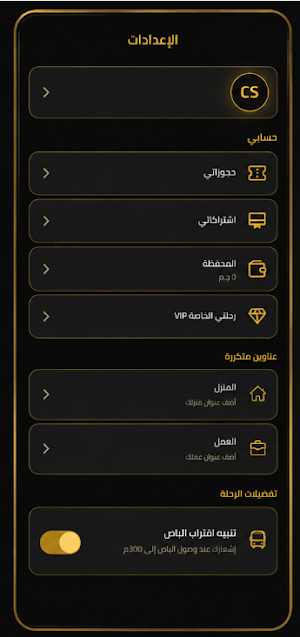 Cairo Shuttle bus Screenshot 0