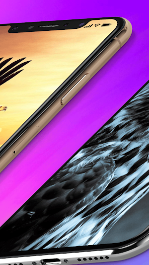Eagle Wallpaper Live Screenshot 3