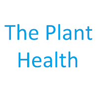 The Plant Health