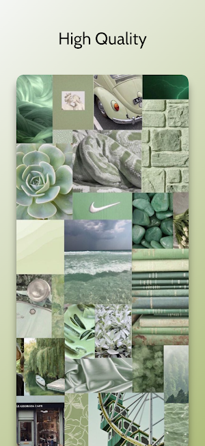 Sage Green Aesthetic Wallpaper Screenshot 2