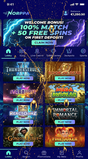 Norppa Casino Screenshot 3