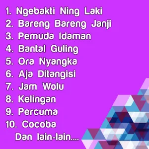 Tarling Ningsih Mp3 Offline Screenshot 0