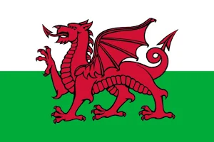 Wales Analog Watch Face Screenshot 2