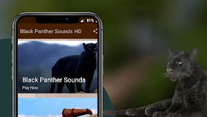 Black Panther Sounds Screenshot 1